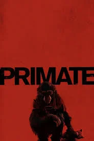 Primate (2025) ลิงคลั่งพันธุ์ดิบ