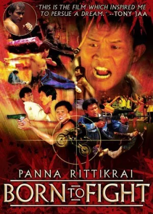 ดูหนัง Born to Fight (2004) เกิดมาลุย (2004) ออนไลน์ HD ฟรี