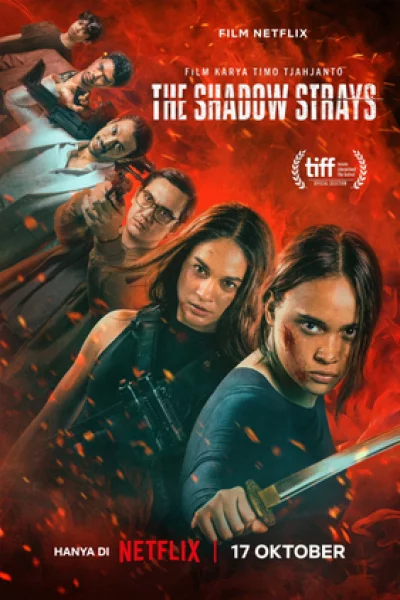 The Shadow Strays (2024) นักฆ่าเงาล่าทรชน