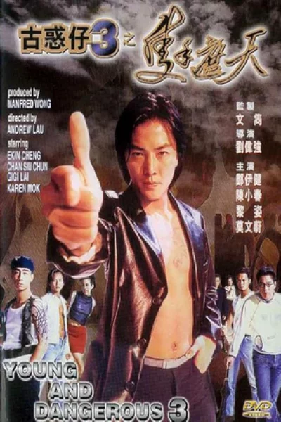 Young and Dangerous (1996) กู๋หว่าไจ๋ 3 มังกรฟัดโลก