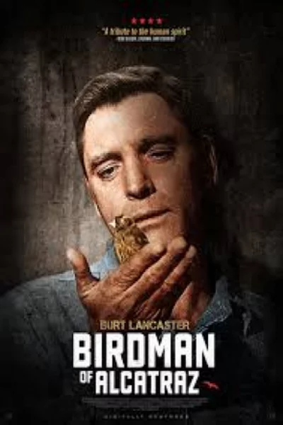 ดูหนัง Birdman of Alcatraz (1962) เต็มเรื่อง (1962) ออนไลน์ HD ฟรี