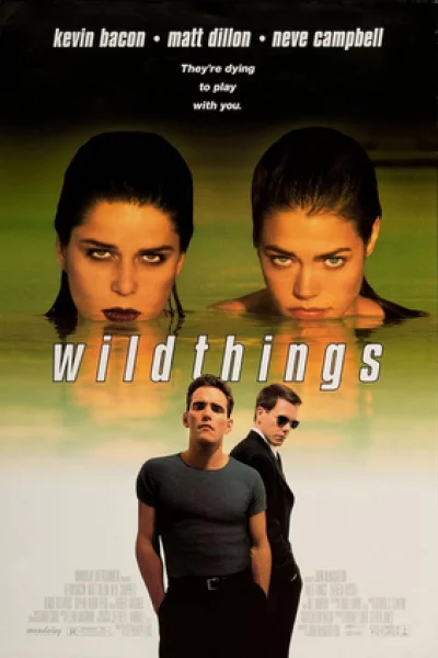 Wild Things (1998) เกมซ่อนกล