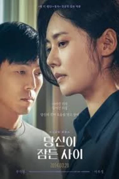 While You Were Sleeping (2024) เต็มเรื่อง