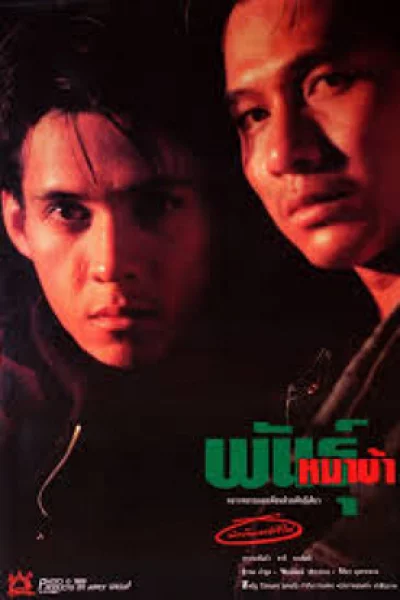 ดูหนัง พันธุ์หมาบ้า (1990) เต็มเรื่อง (1990) ออนไลน์ HD ฟรี