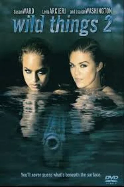 Wild Things 2 (2004) เกมซ่อนกล 2