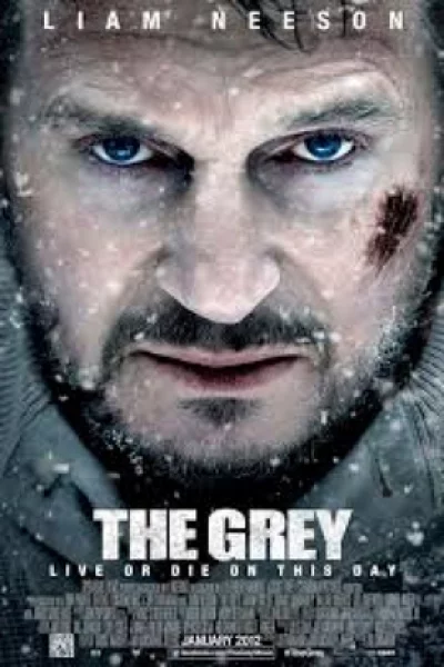 The Grey (2011) ฝ่าฝูงเขี้ยวสยองโลก