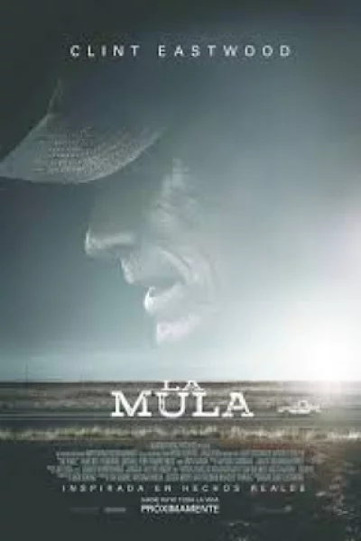 ดูหนัง The Mule (2018) เดอะ มิวล์ (2018) ออนไลน์ HD ฟรี