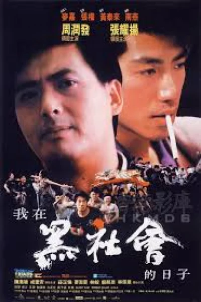 ดูหนัง Triads The Inside Story (1989) โหดต้องโทษดวง (1989) ออนไลน์ HD ฟรี