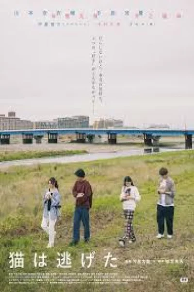 The Cat Escaped (2022) เต็มเรื่อง