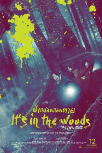 ดูหนัง It's in the Woods (2022) ป่าแปลกแลกตาย (2022) ออนไลน์ HD ฟรี